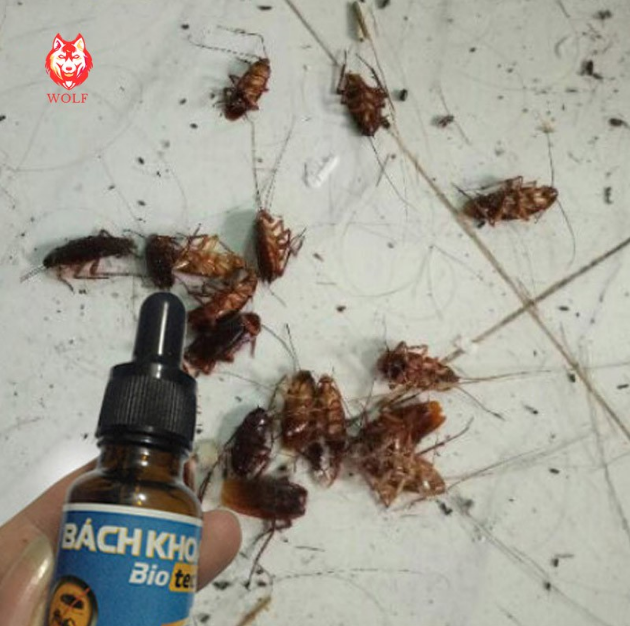 Dung dịch diệt kiến Bách khoa BioTech sinh học an toàn