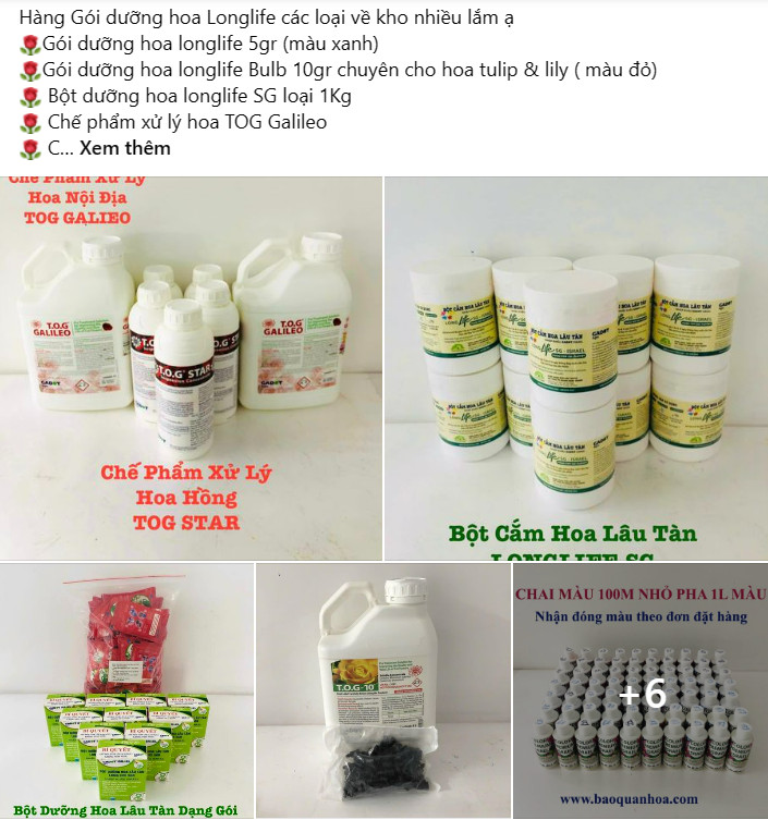 Thuốc Bột Cắm Hoa Tươi nhập khẩu Israel tại shop Florist (1 hủ pha 100L nước cắm hoa) hiệu Longlife SG là bí quyết giúp hoa cắm Xốp tươi lâu và hạn chế chăm sóc thay hoa mới