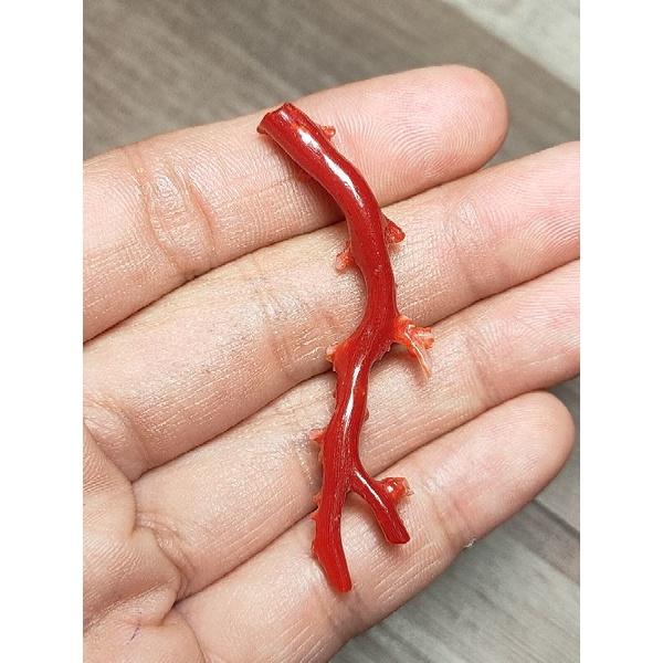 197- Đá San Hô Đỏ