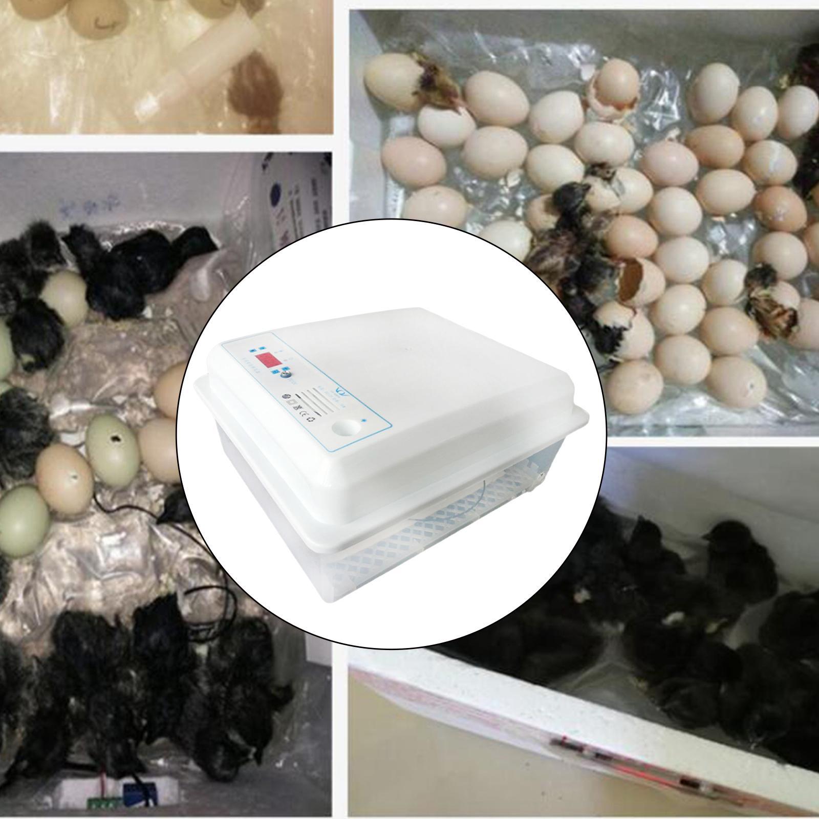 Egg Incubator Tray Automatic Egg Roller Household   9 Tubes