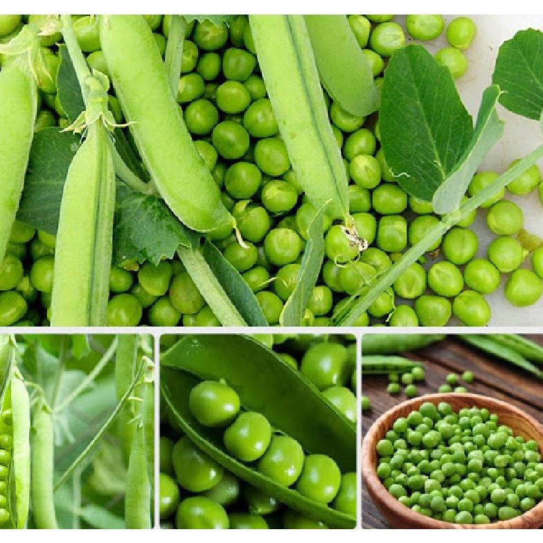Hạt giống đậu hà lan CT152 - Gói 20gram