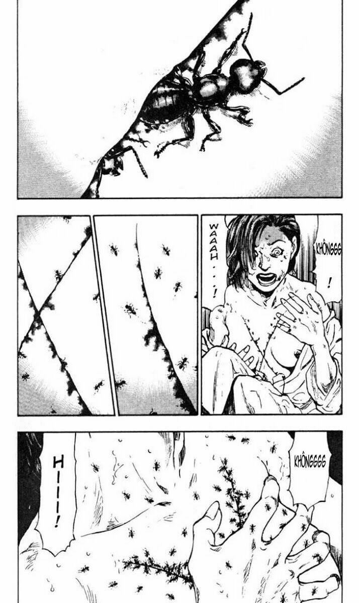 shamo (võ đạo) chapter 26 15