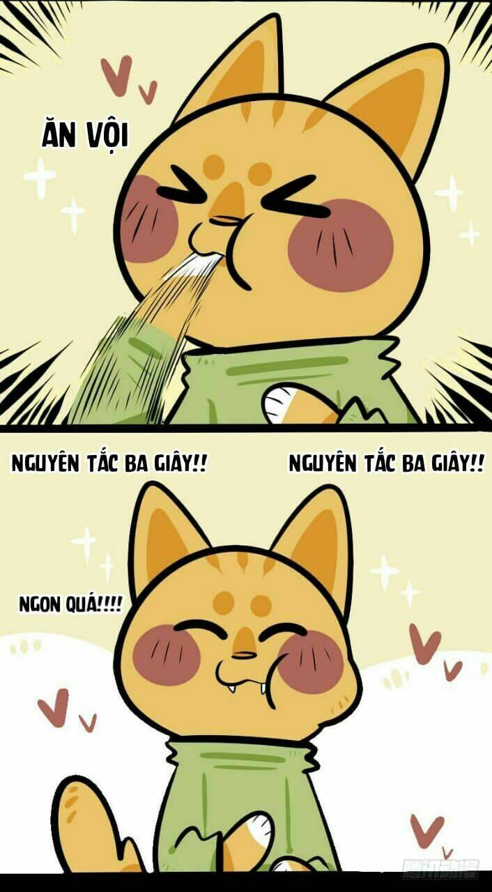 đời không như mình tưởng chapter 3 8