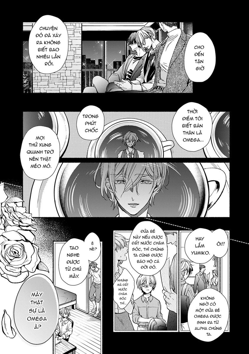 omega giả vờ kiên cường đó là bạn tình của tôi chapter 1 40