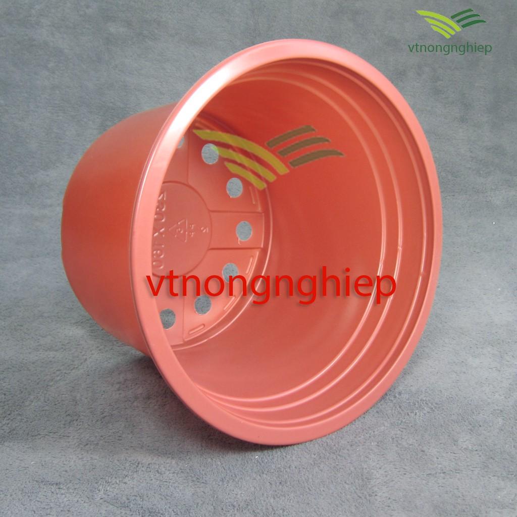 Chậu nhựa trồng Hoa CH-23x16 màu xám nâu, màu đỏ đất, màu trắng