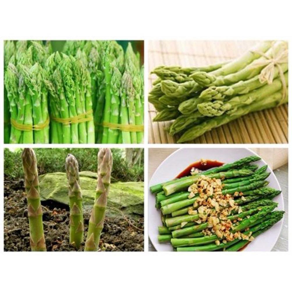 Hạt giống măng tây Phú Nông gói 100 hạt - 2g