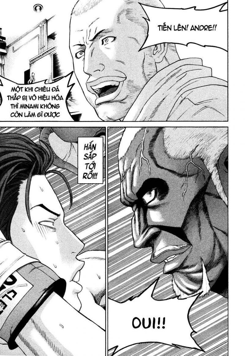 karate shoukoushi kohinata minoru chapter 216 13