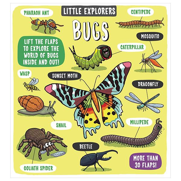 Sách ngoại văn: Little Explorers - Bugs