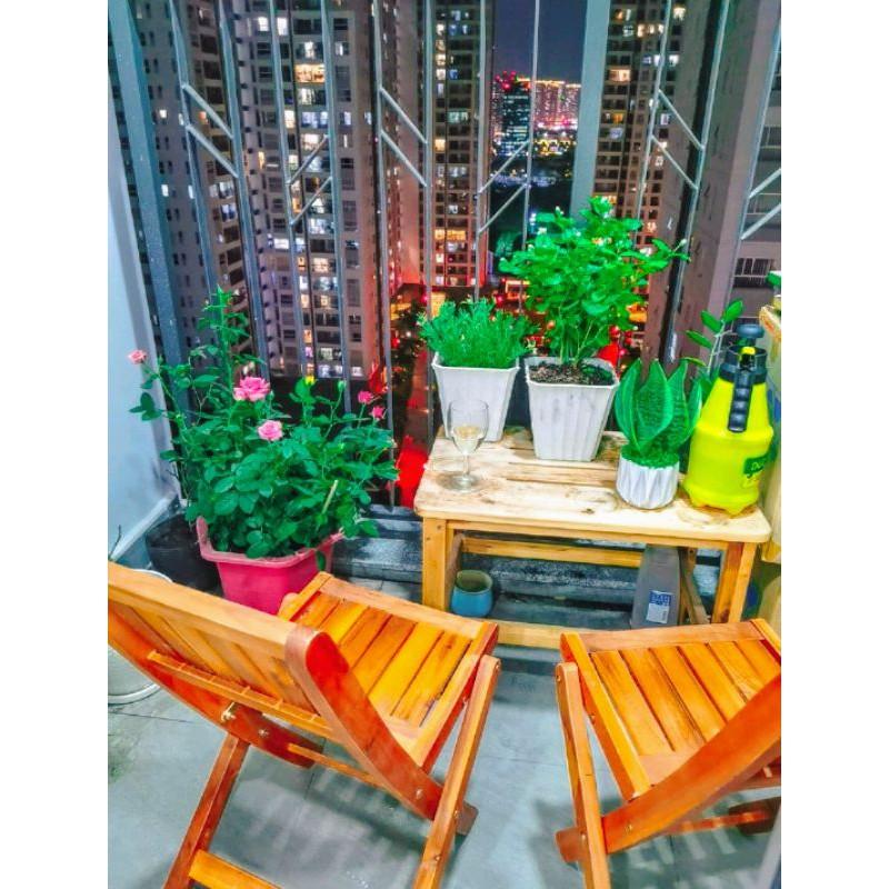 Ghế gỗ mini xếp gọn ngồi cao 35cm