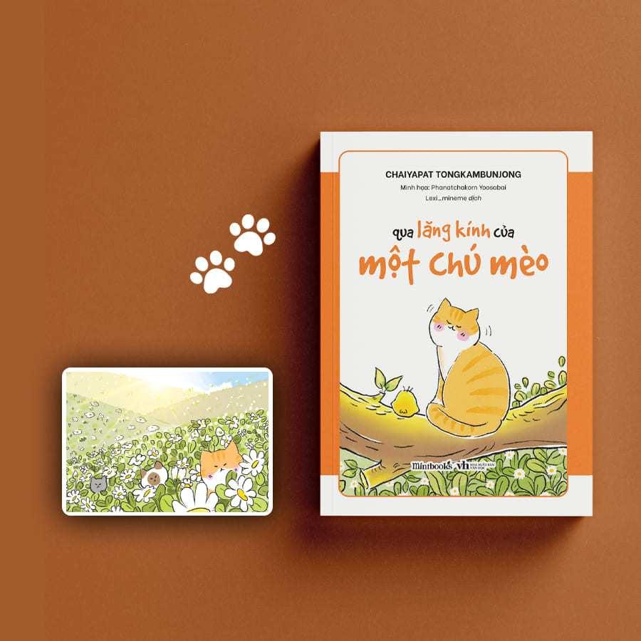 Sách - Qua Lăng Kính Của Một Chú Mèo - AZ Việt Nam