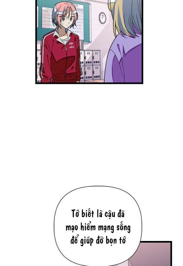 survive romance chapter 20 17