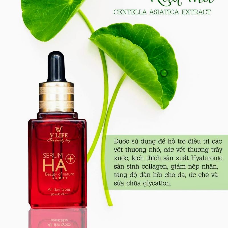 Serum Ha Plus VLife cấp nước, dưỡng ẩm, cung cấp dưỡng chất , làm trắng hổ trợ giảm mụn, nám, làm sáng da, giảm quá trình lão hóa