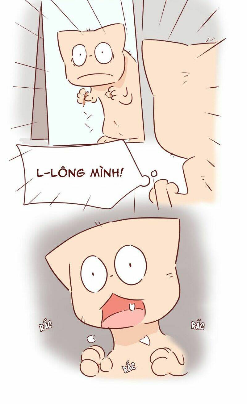 saphie: chú mèo một mắt chapter 29 13