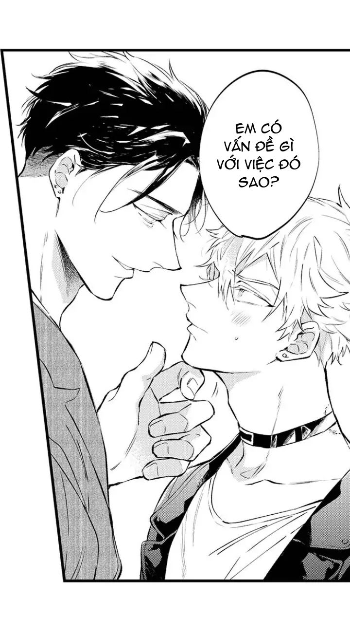 [18+]anh alpha kia! ly hôn đi chapter 2.2 15