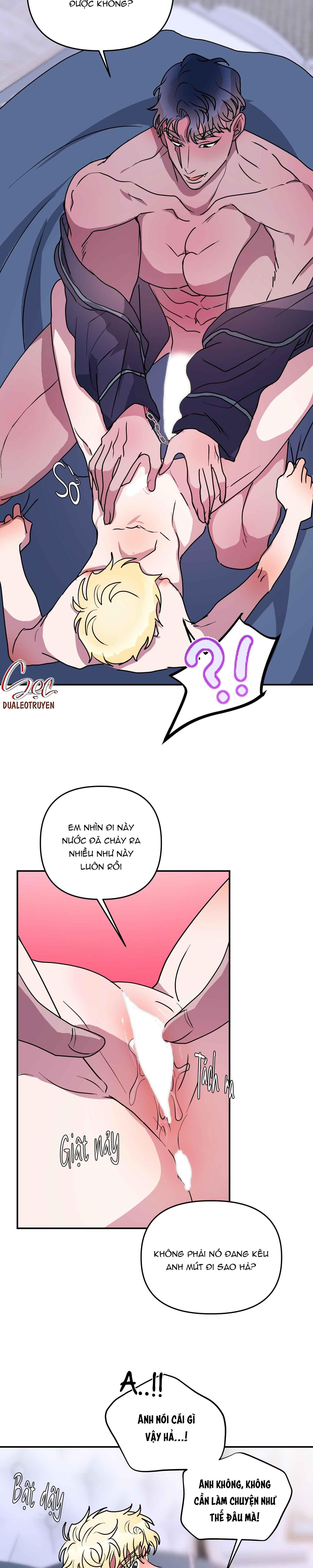 cá mập và cô dâu thỏ chapter 49 12