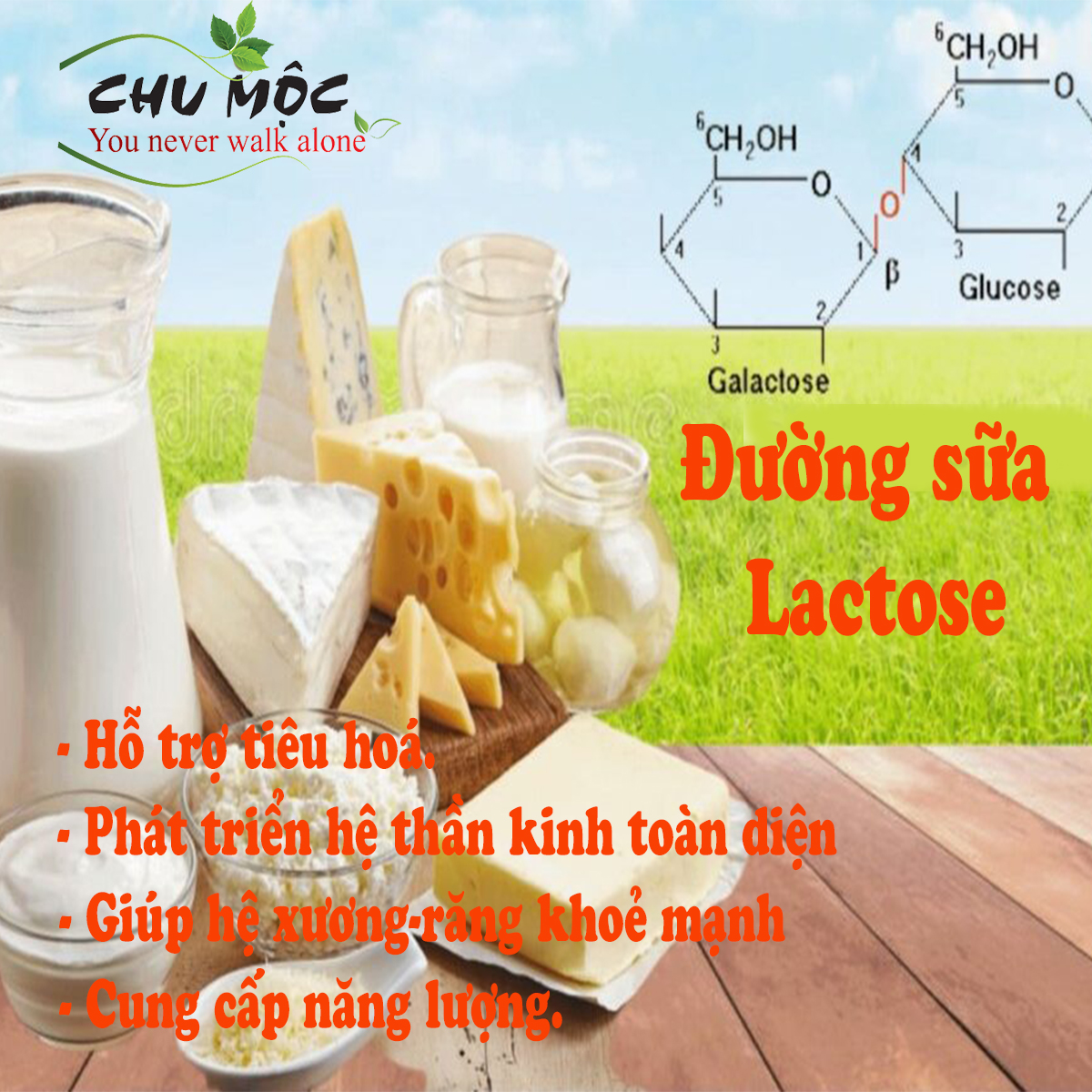 Đường sữa Lactose Hilmar 100mesh 1kg (chiết lẻ từ pack 25kg)