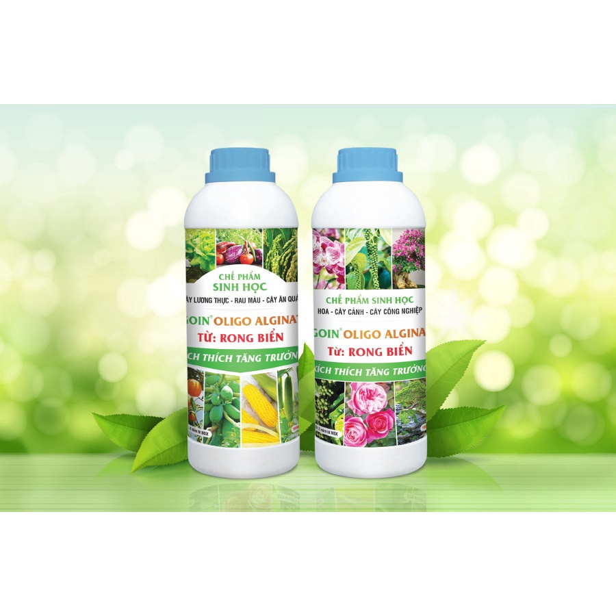 Chế Phẩm Sinh Học AGOIN Oligoalginate Giúp Rễ Phát Triển Kích Thích Ra Bông, Nở Hoa, Tăng Kích Thước Củ Quả.