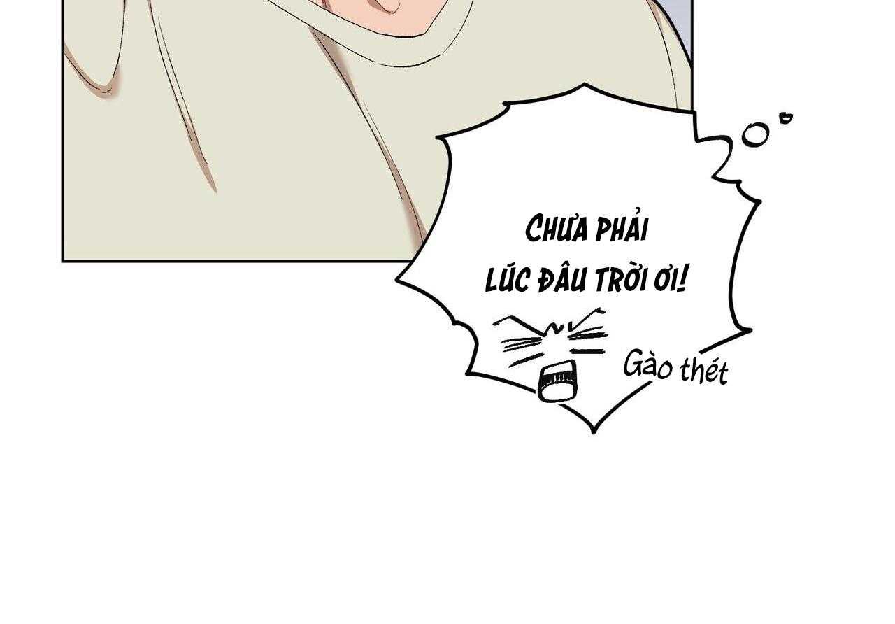 chàng dâu nhà họ kang chapter 68 80