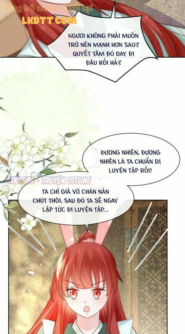 hắc hóa nam chính trực tuyến nuôi thỏ chapter 29 28