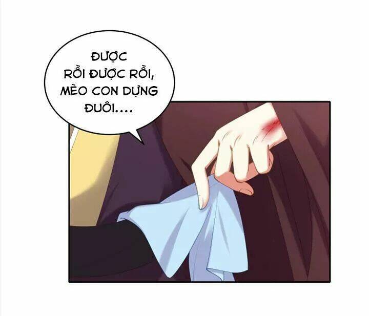 đô đốc đại nhân sủng thê kí chapter 76 7