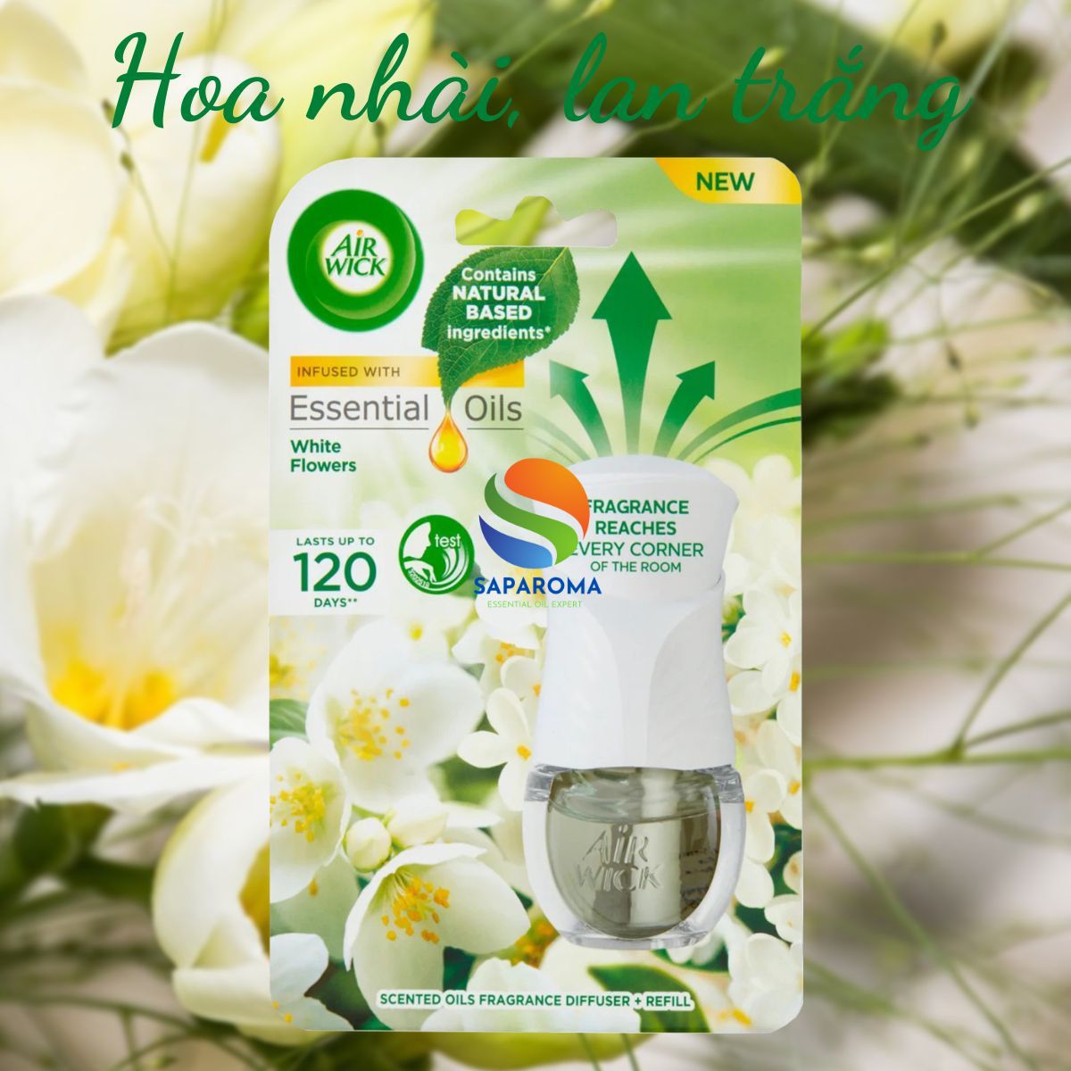 Bộ tinh dầu thơm phòng Air Wick 19ml, nhập khẩu Châu Âu