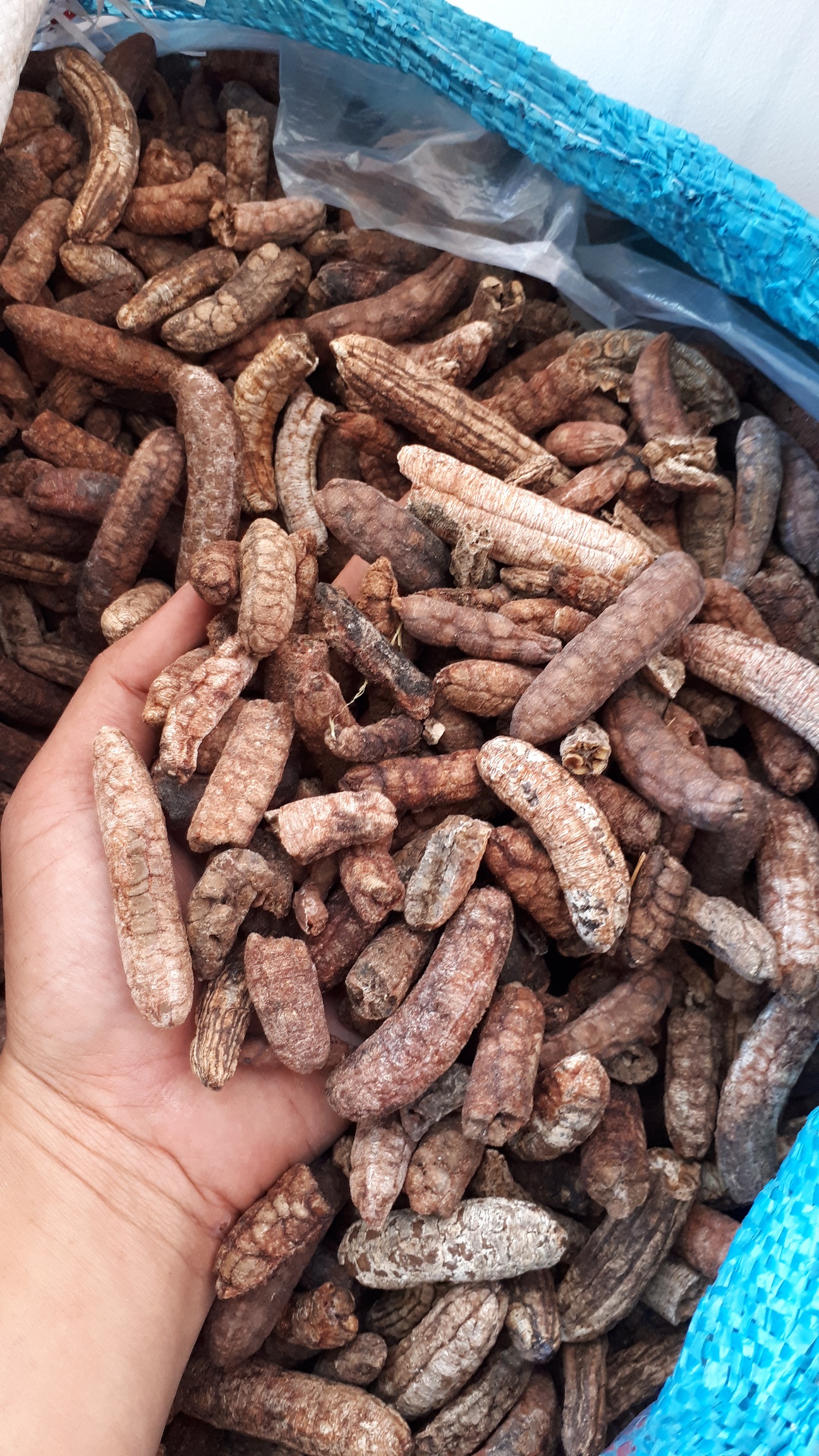 Combo 3kg CHUỐI HỘT RỪNG Kon Tum đóng gói hút chân không-dacsanvaduoclieukontum