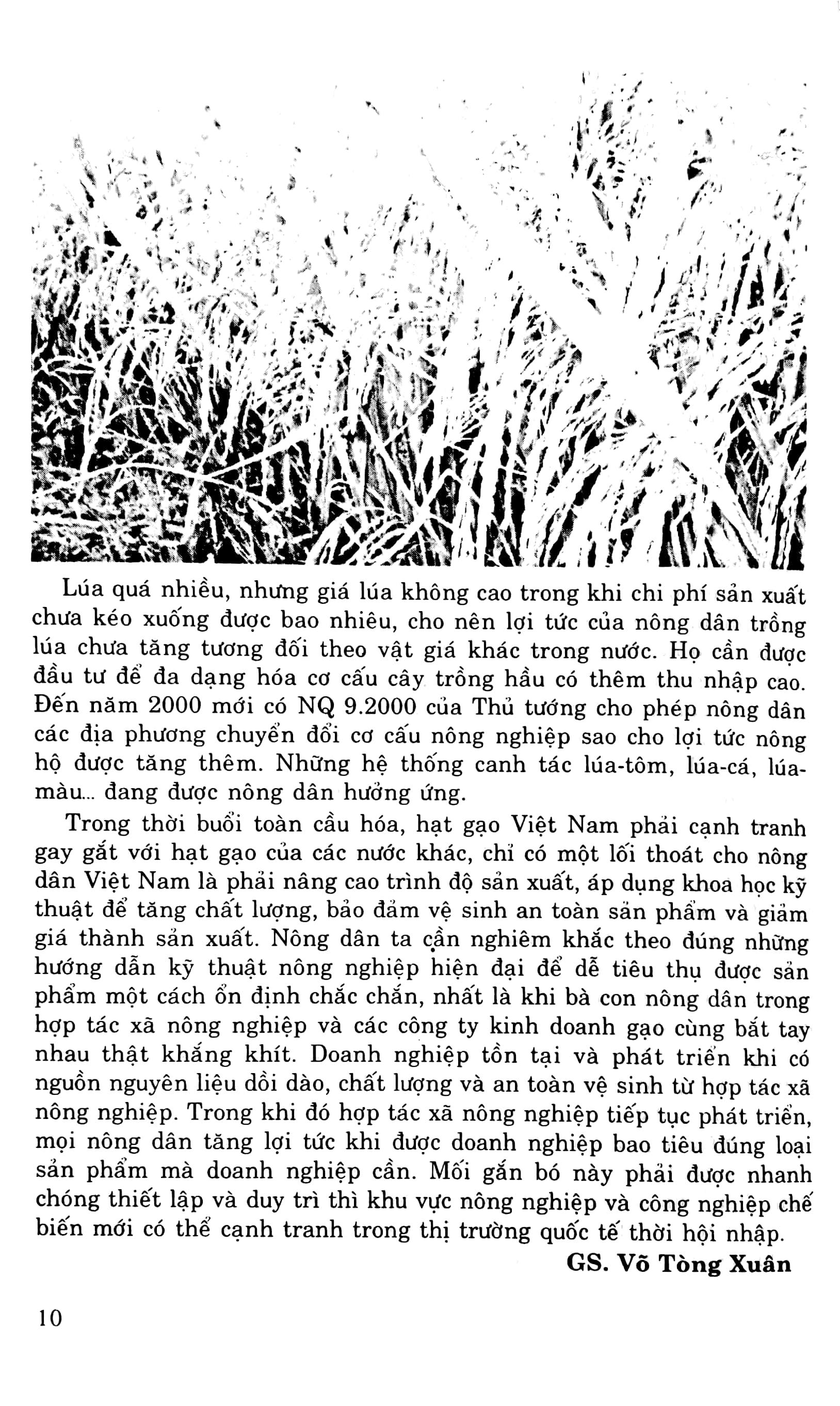 Luyện Viết Văn Hay Lớp 9