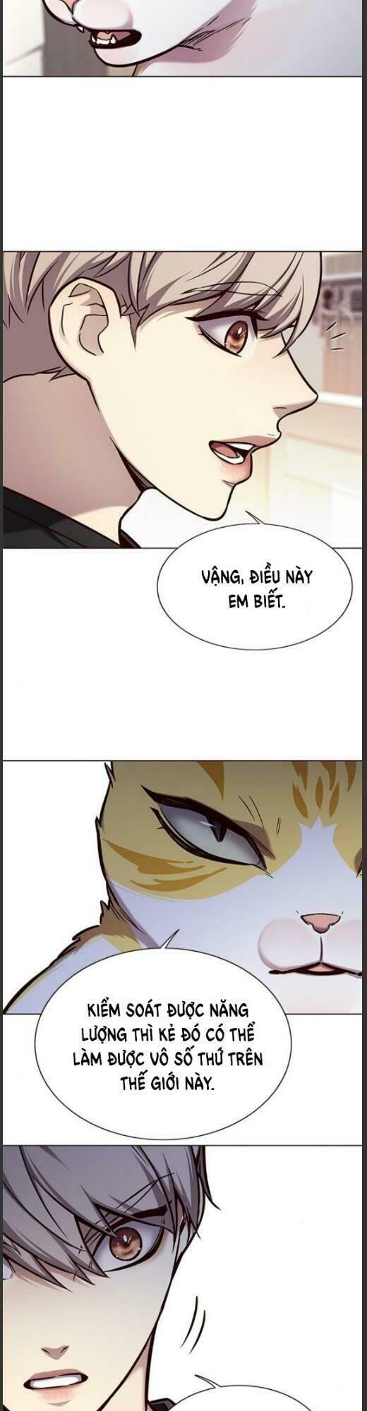 biến thân thành mèo chapter 160 19