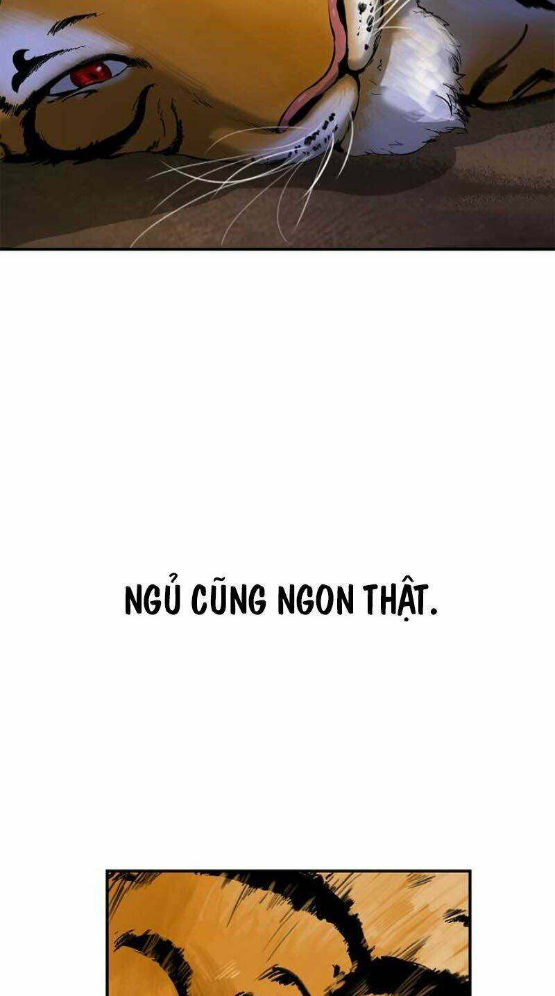xuyên không thành hổ chapter 2 23