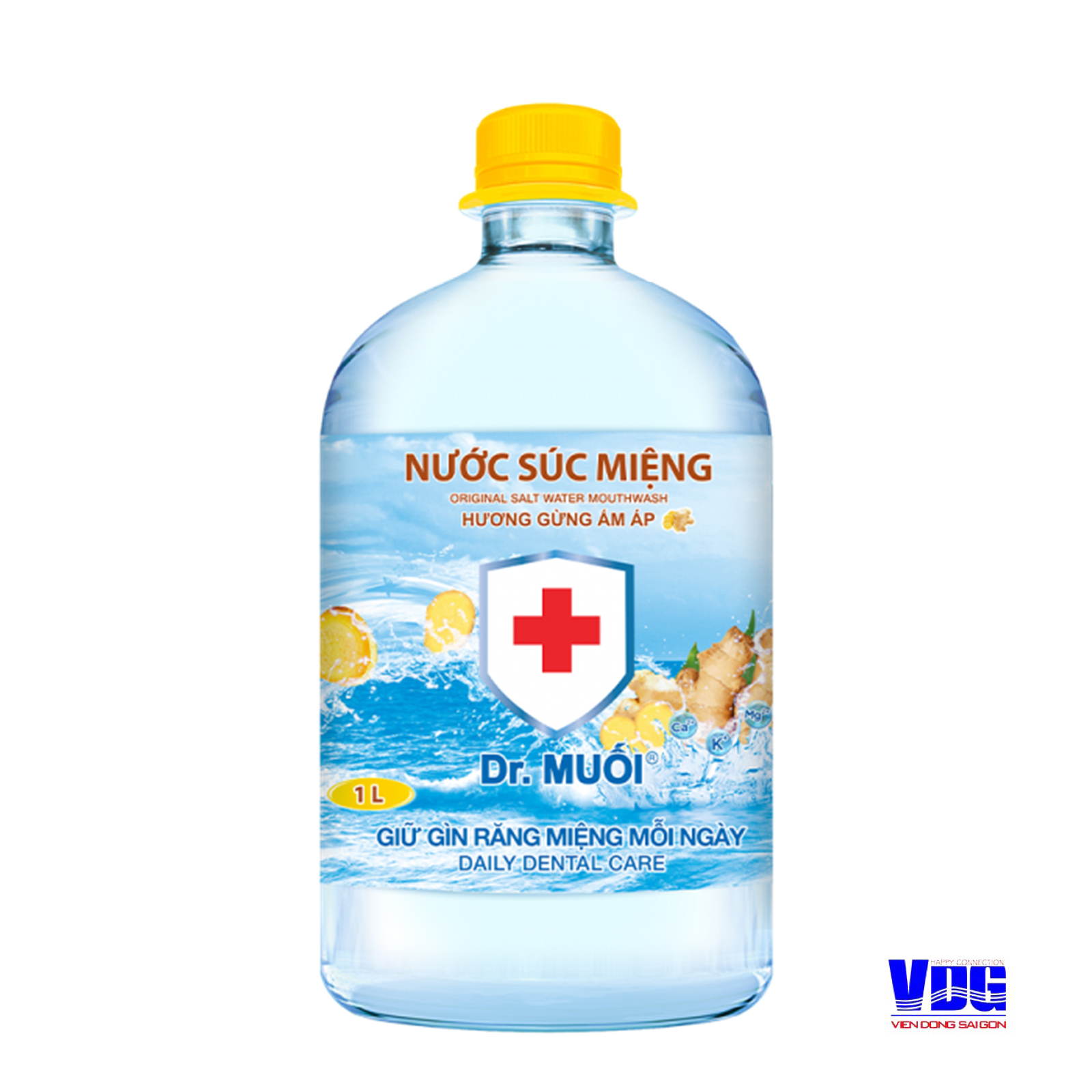 1 Thùng 9 chai Nước súc miệng Dr. Muối hương Gừng ấm áp (1000ml)