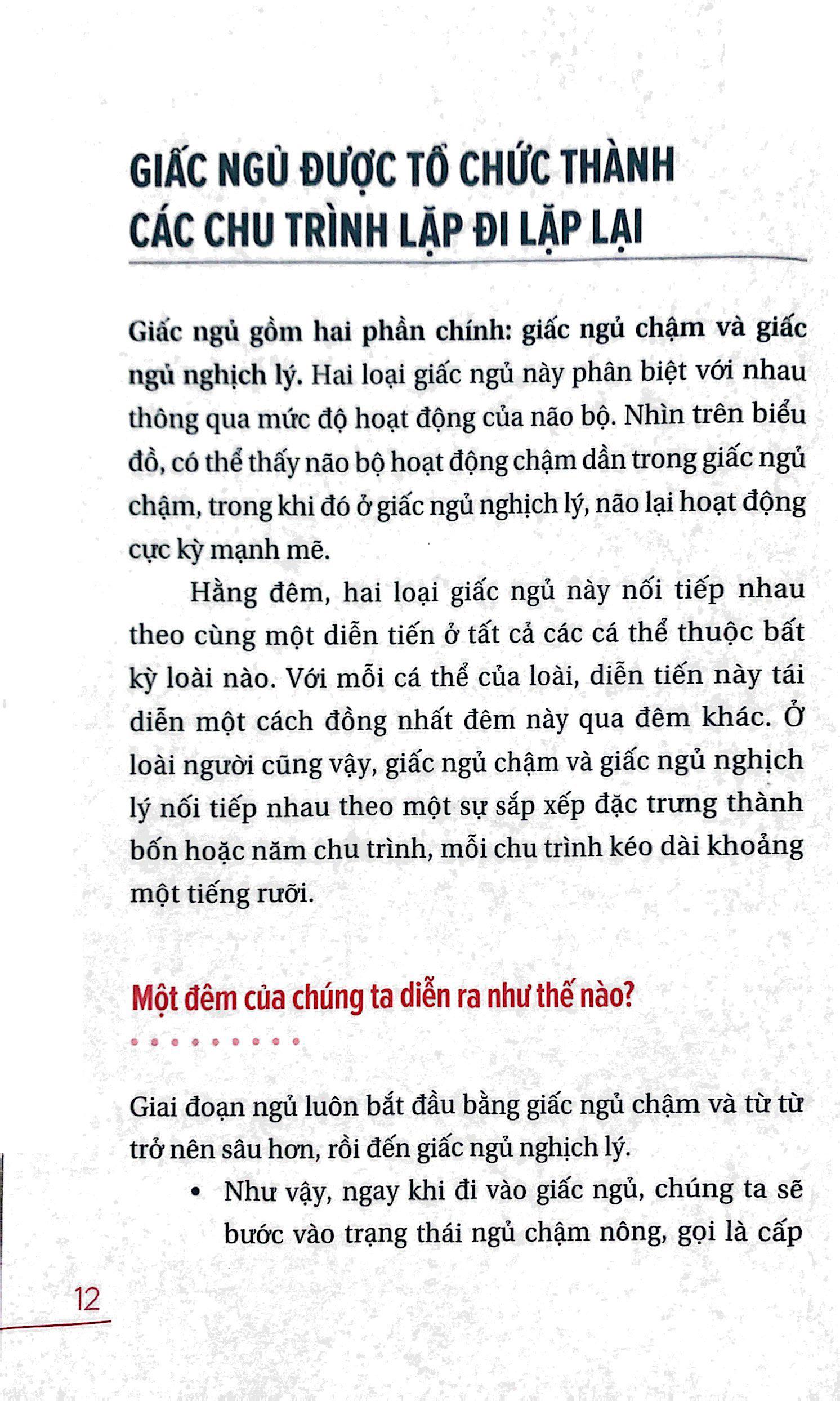 Ngủ Ngon Mỗi Đêm, Sống Khỏe Mỗi Ngày - Bí Mật Phía Sau Một Giấc Ngủ Chất Lượng