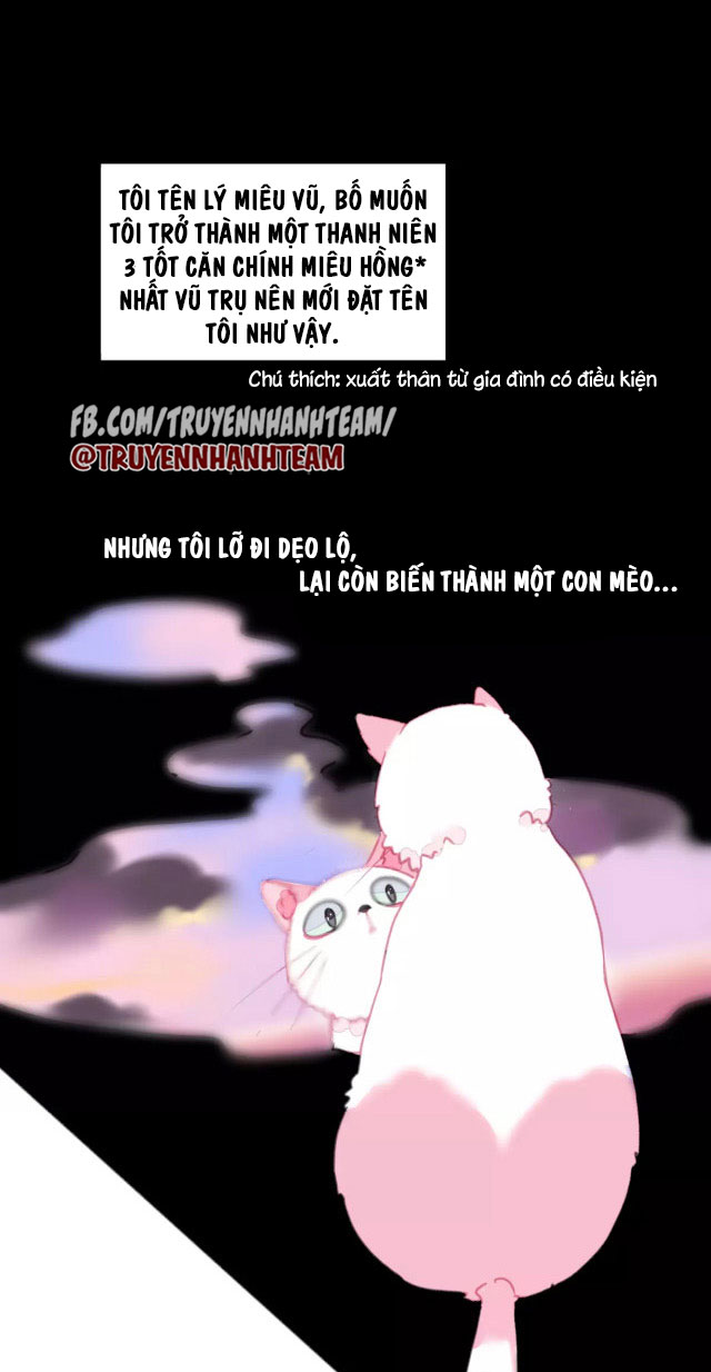 xã hội mèo chapter 1 2