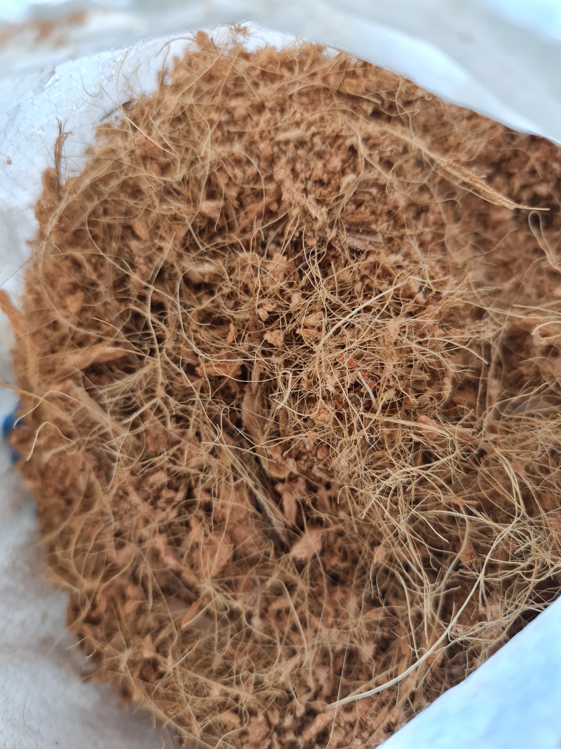 Mụn xơ dừa bao