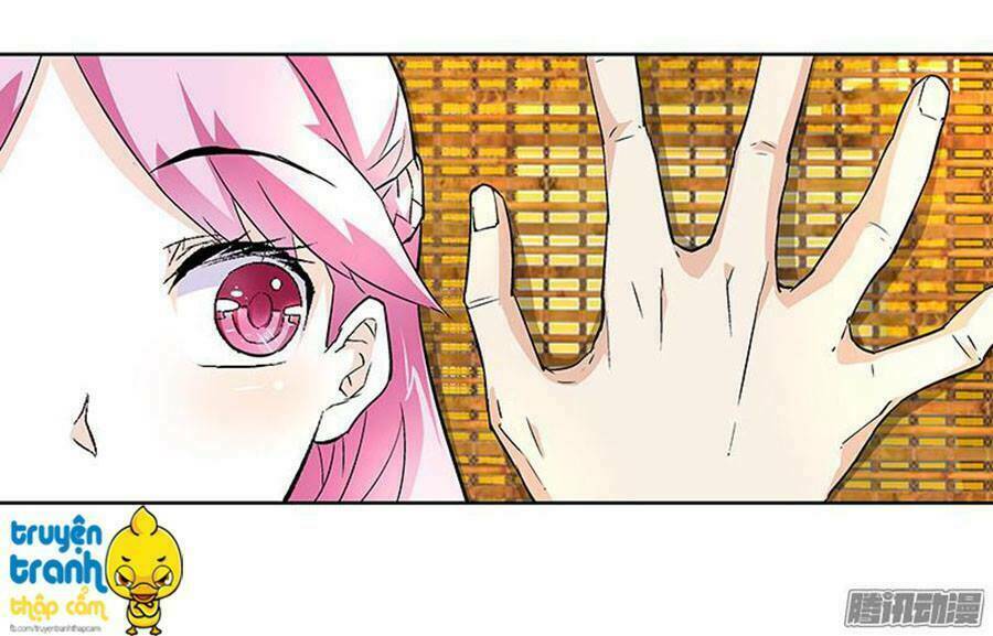 cường sủng hào môn tiểu manh thê chapter 15 5