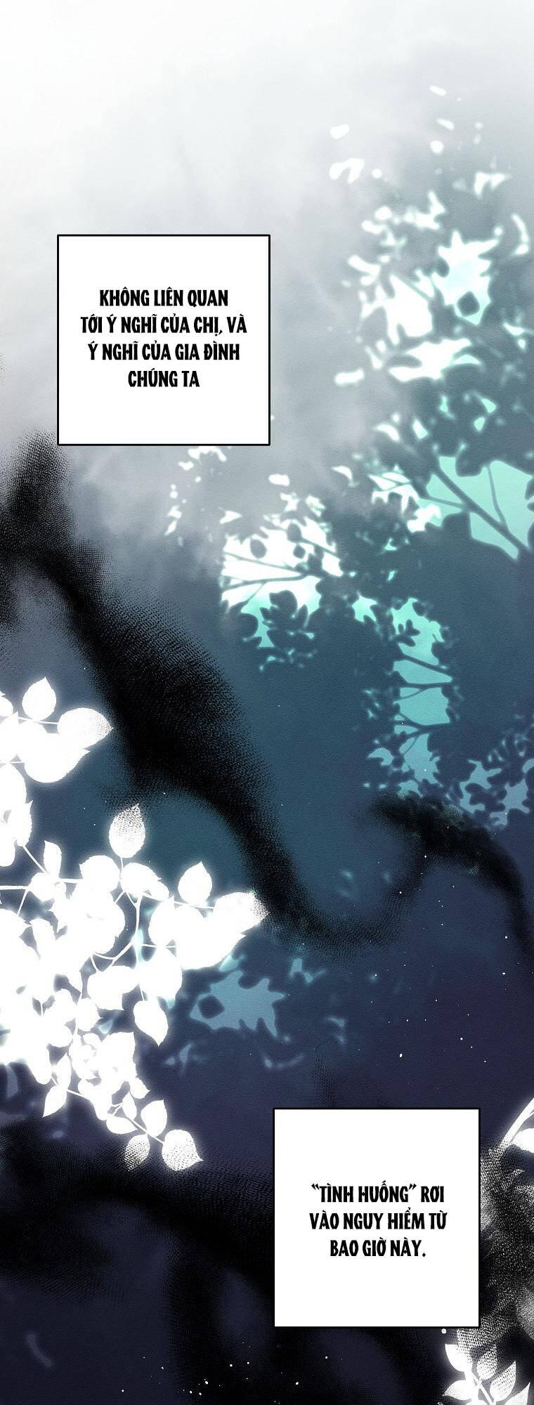 Tôi Phải Giấu Em Trai Trước Đã chapter 69.1 41