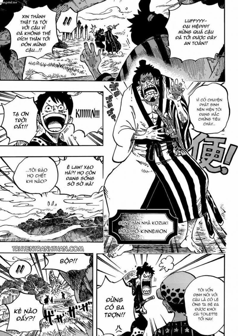 đảo hải tặc - one piece chapter 919 11