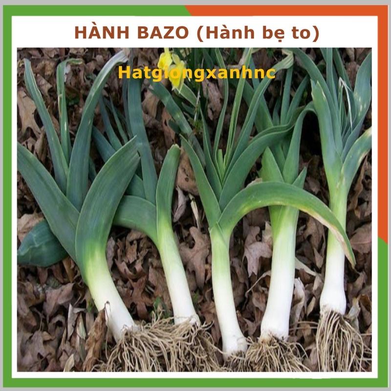 Hạt giống hành bazo lá cọng trắng khổng lồ Egrow, gói 5gr