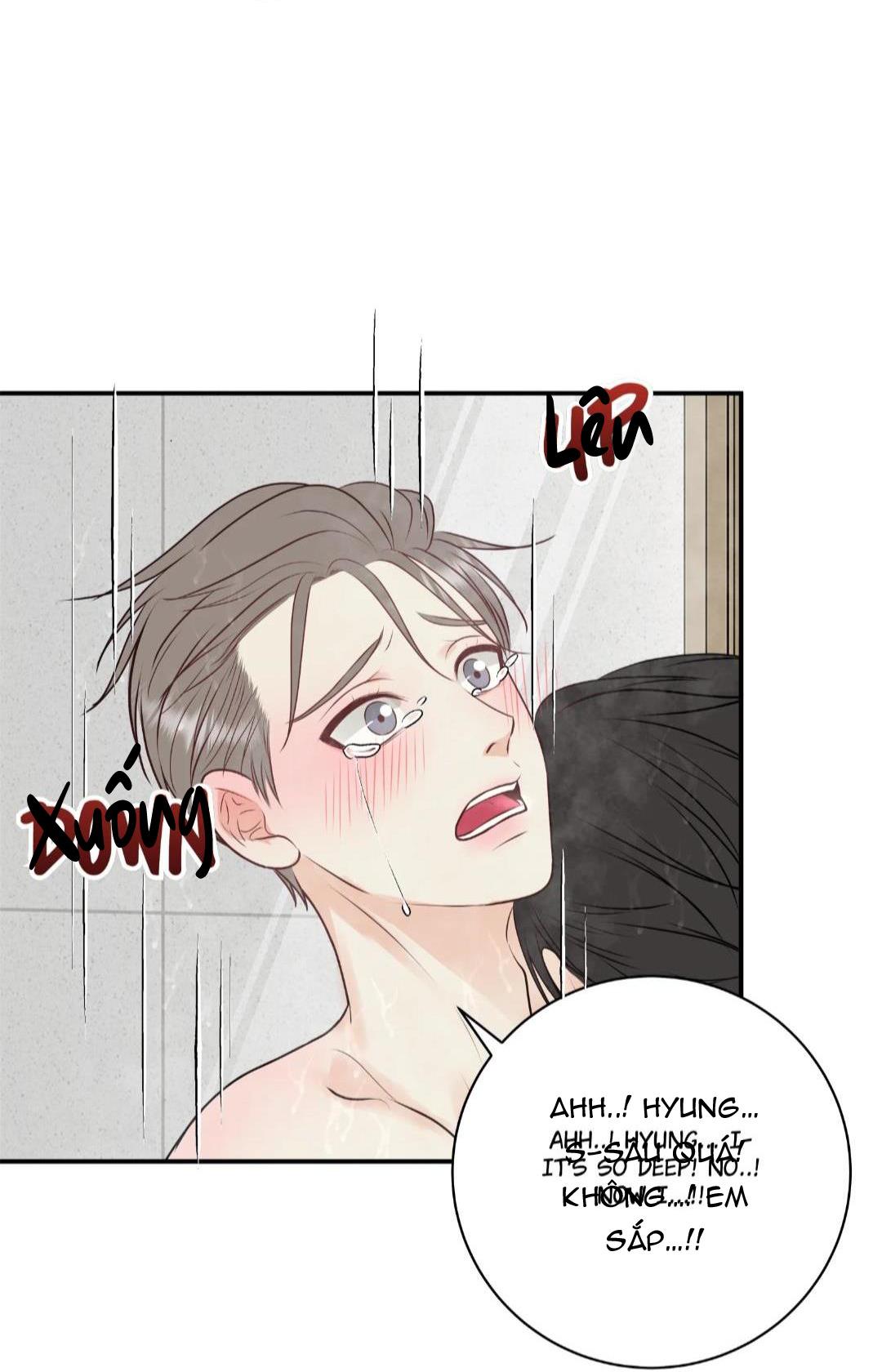 hạnh phúc trọn vẹn chapter 24 48