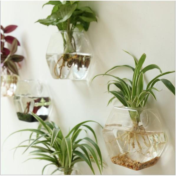KHO-HN * Lọ thủy tinh hình lục giác trồng thủy canh treo tường phù hợp cho các bạn làm DIY