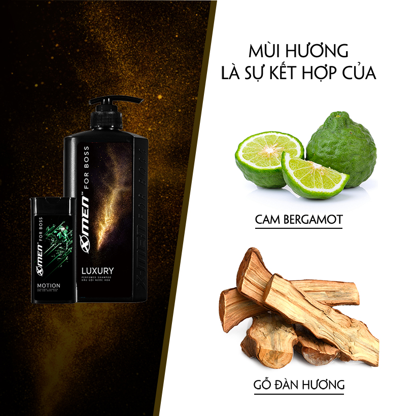 Combo Dầu gội nước hoa X-Men for Boss Luxury 650g + Dầu gội nước hoa X-Men for Boss Motion 150g