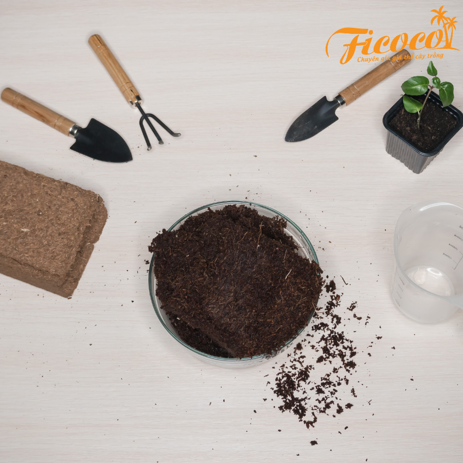 Giá thể xơ dừa trồng cây đã xử lý - FICOCO - Mùn dừa trồng cây - 5 lít