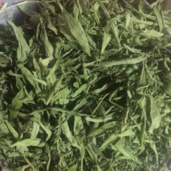 Trà cỏ ngọt - Dùng thích hợp cho người tiểu đường -  Cỏ ngọt sấy khô thơm và sạch - Gói 100g