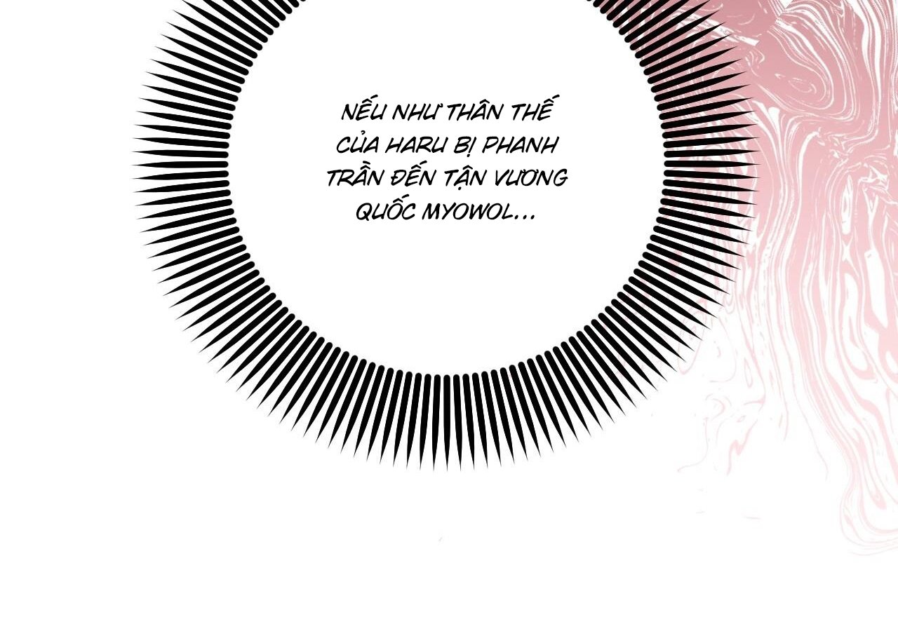 những chú thỏ của hapypy chapter 59 222