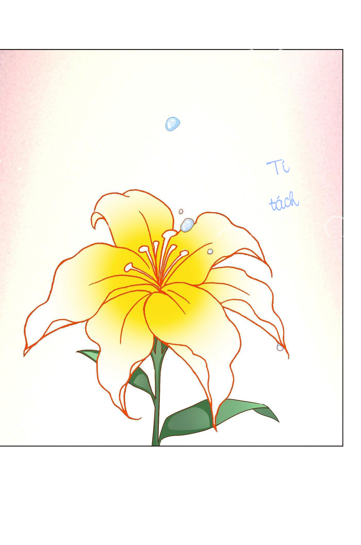 nhất hoàng cửu công thập nhị thê chapter 30 27