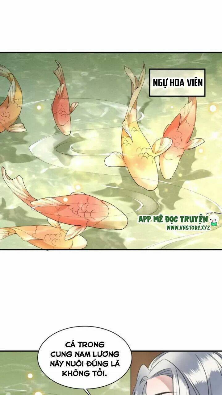 phượng hoàng vu phi chapter 76 30