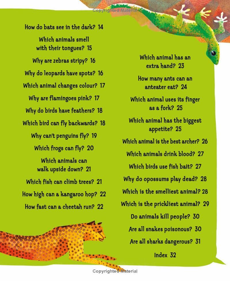 Sách ngoại văn: I Wonder Why Camels Have Humps