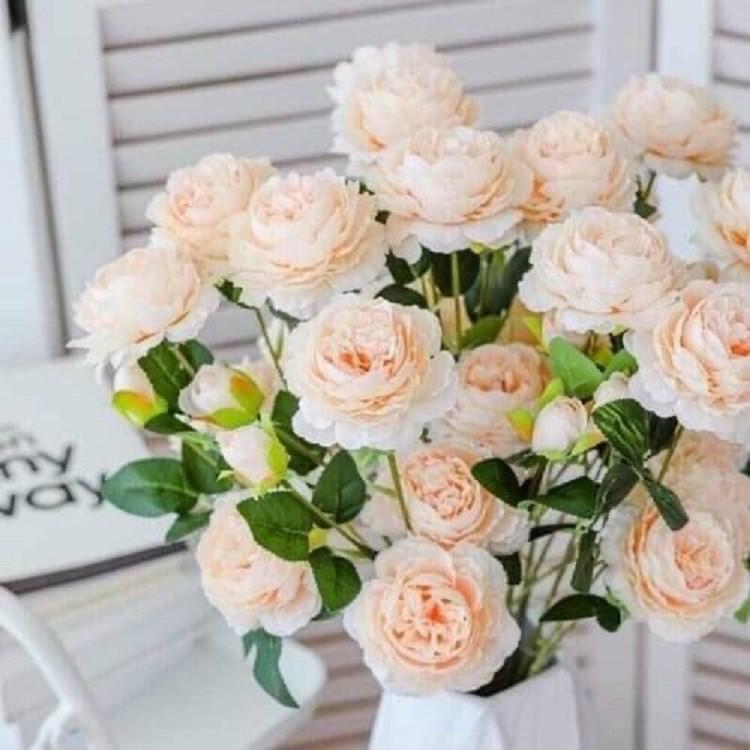 Cành hoa hồng mẫu đơn lụa - hoa hồng giả nhiều màu sắc