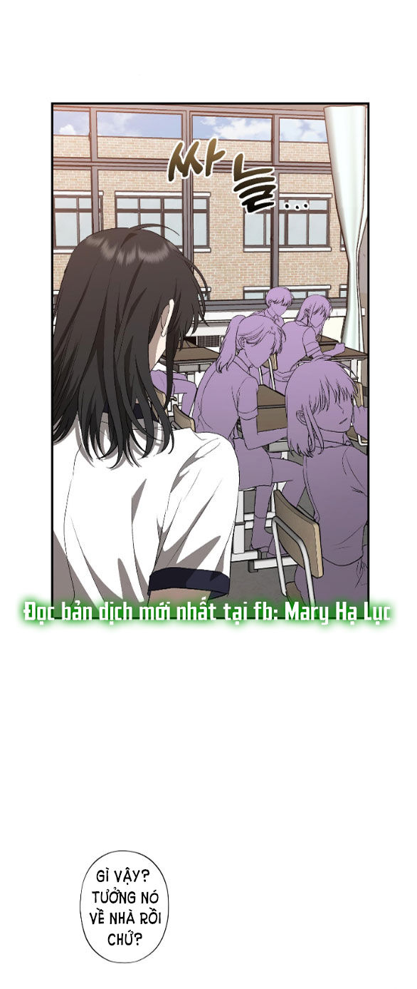 Tự Do Trong Mơ chapter 60.1 19