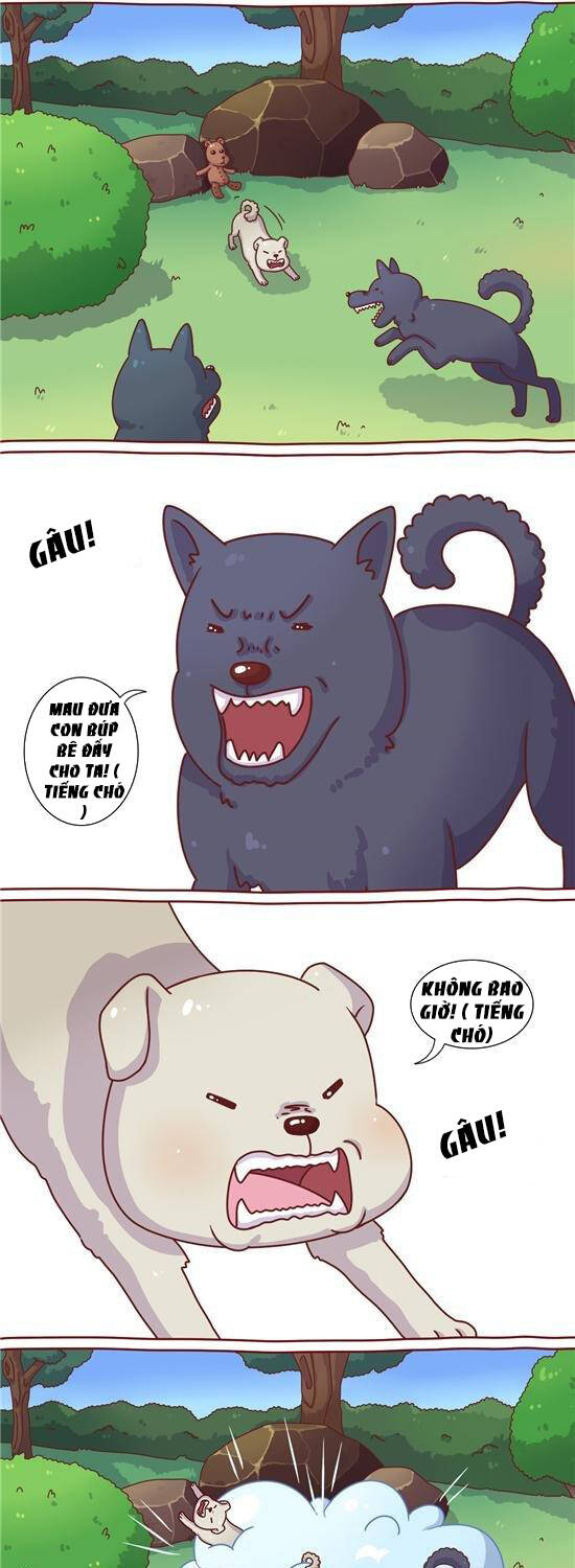 cây nấm kì khả chapter 22 2