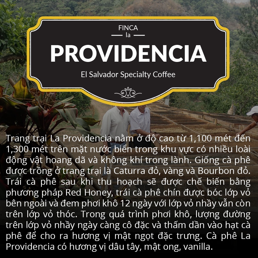 Specialty Coffee Nguyên Hạt El Salvador Providencia 1864 CAFÉ 120g